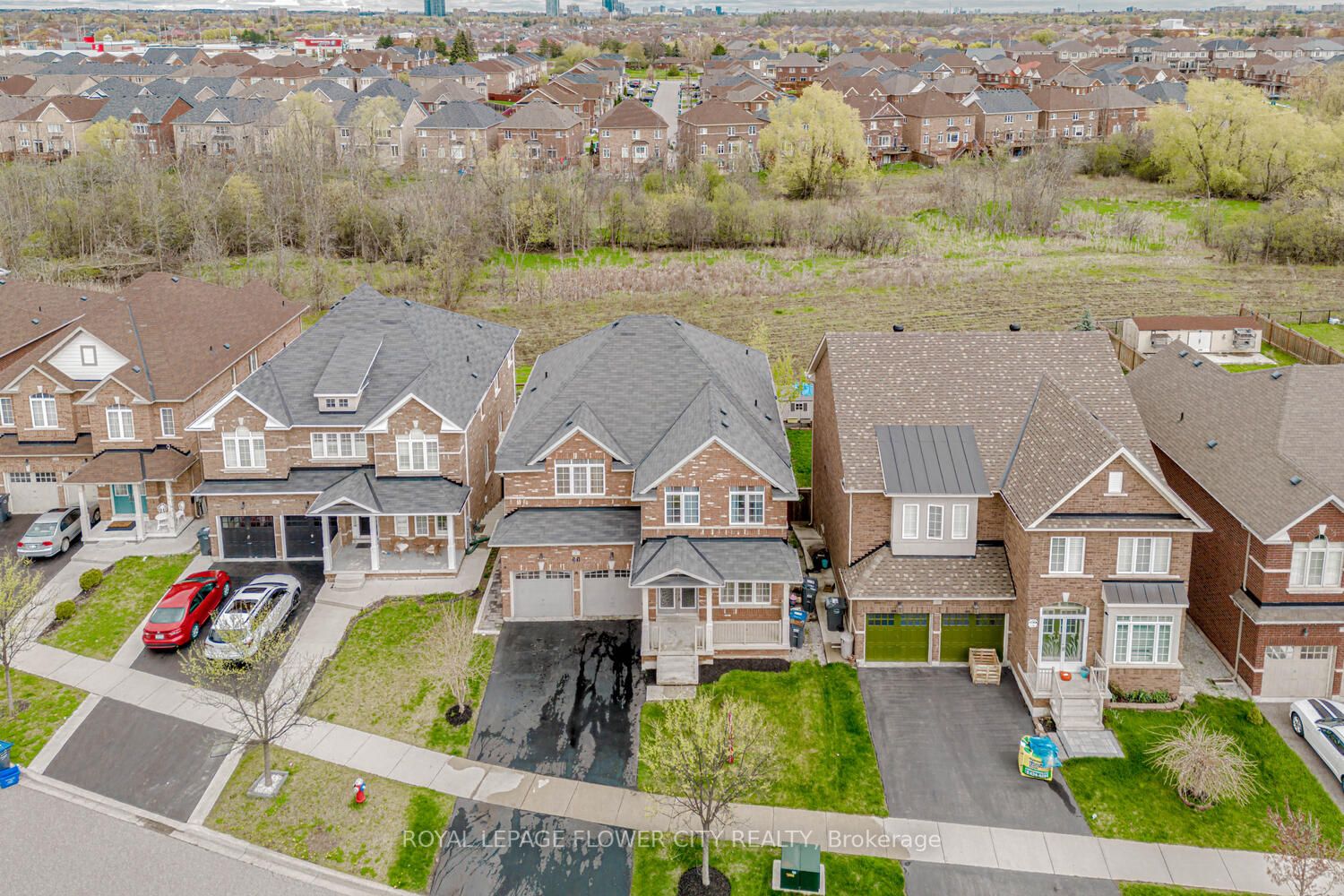 21 Borrelli Dr