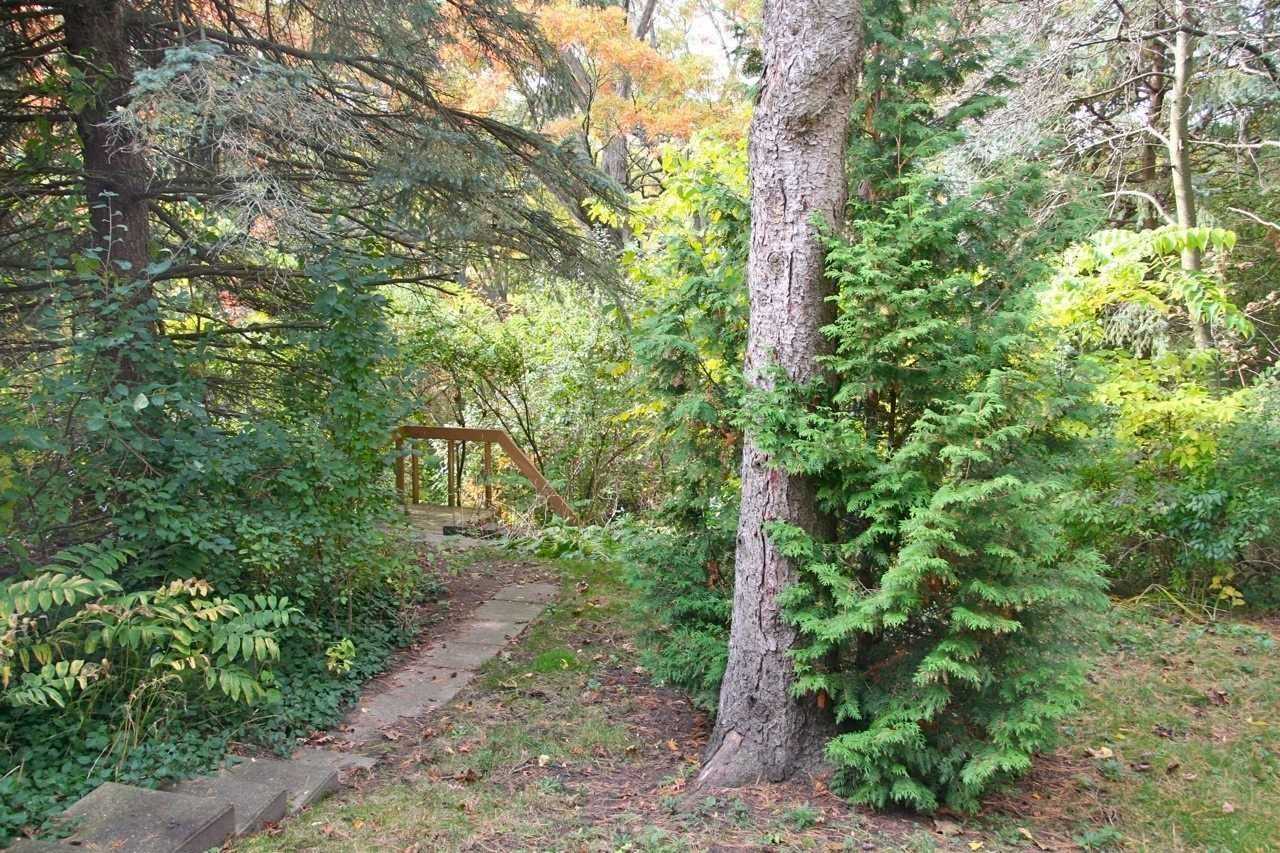 Listing W5949961 - Large Photo # 29