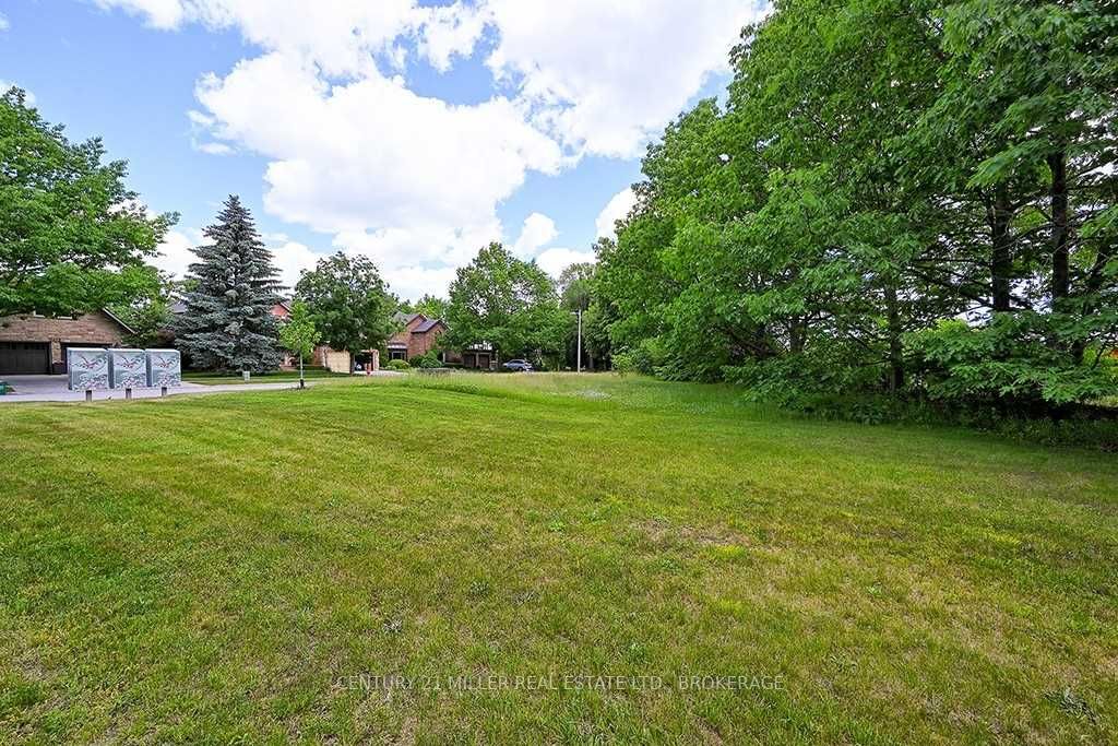 Listing W5951107 - Large Photo # 10