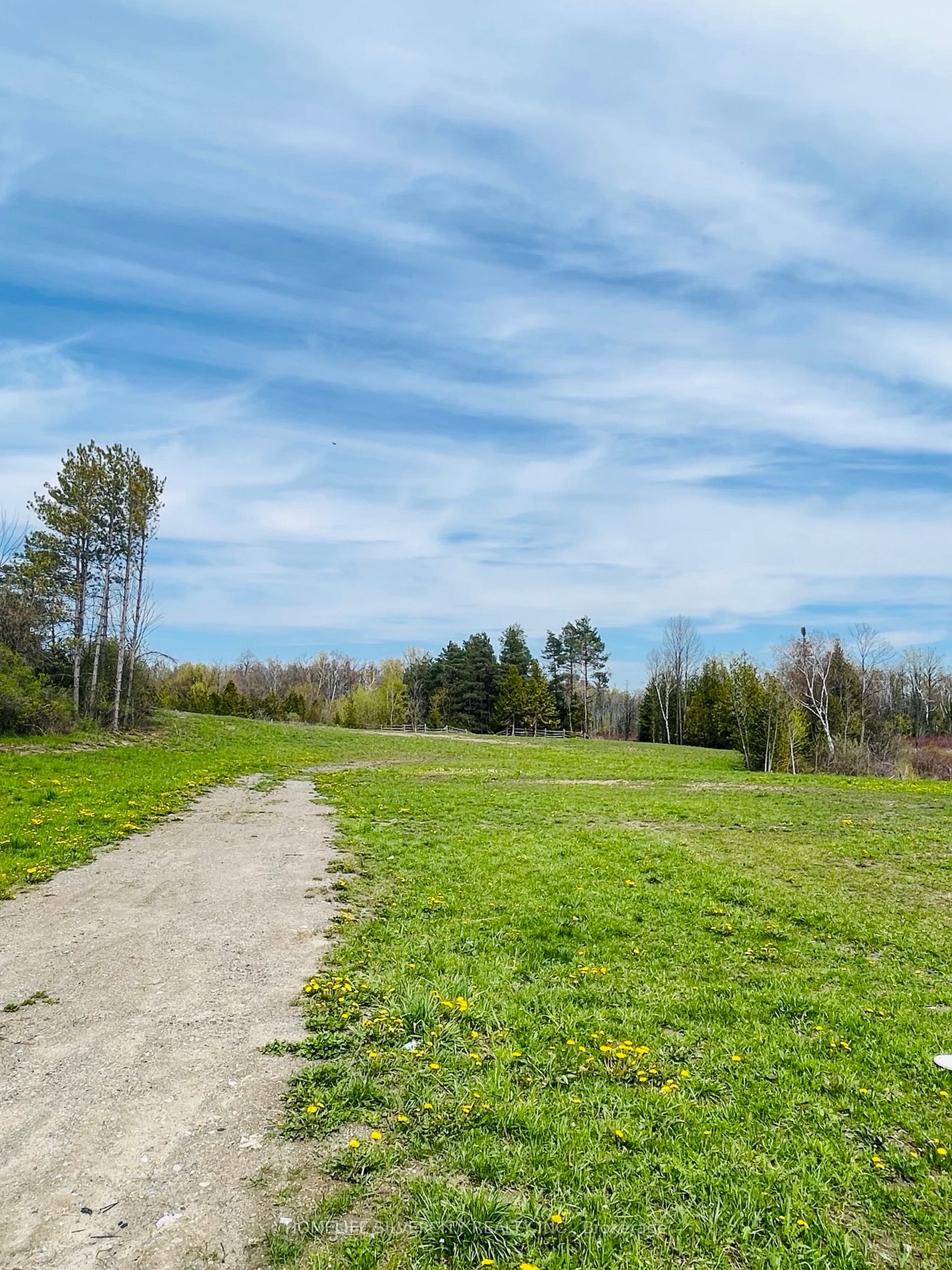 Listing W5951360 - Large Photo # 6