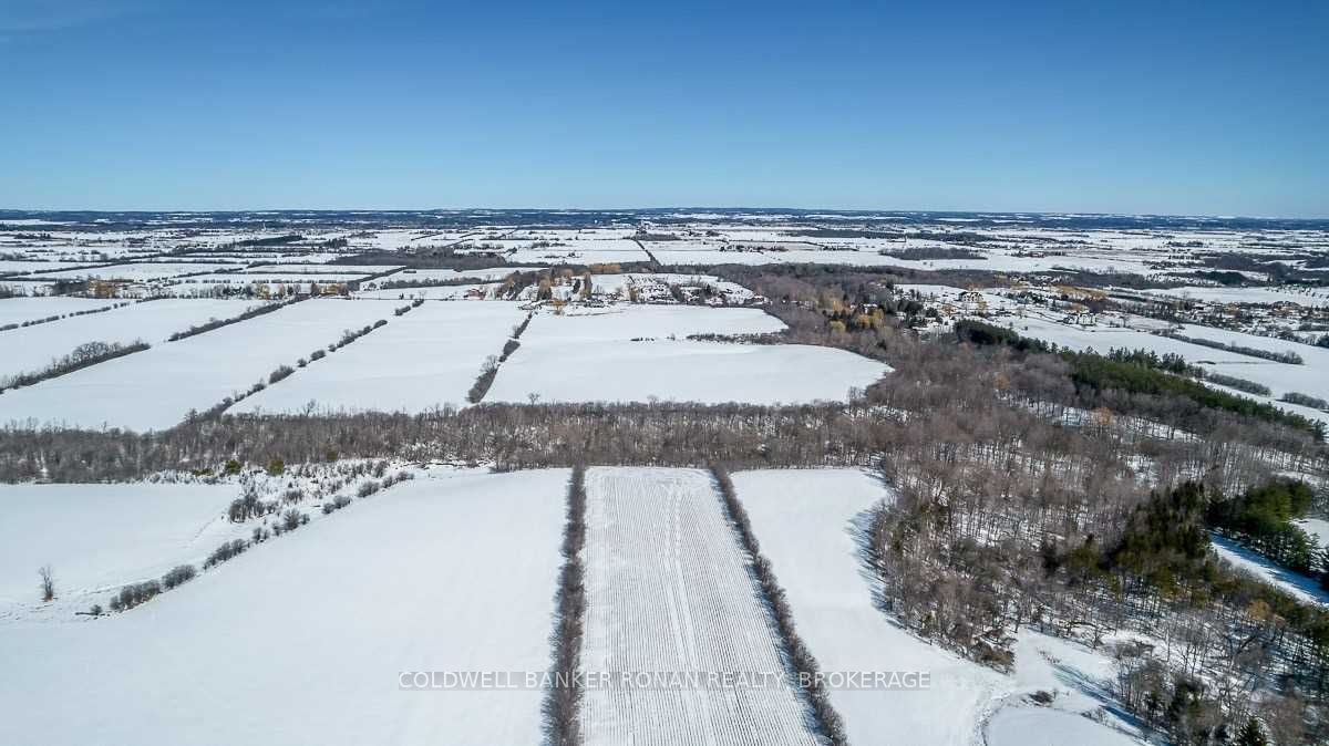 Listing W5952437 - Large Photo # 11
