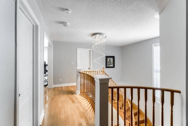 Listing W5954549 - Large Photo # 19