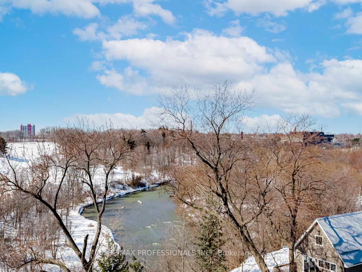 Listing W5956396 - Large Photo # 24