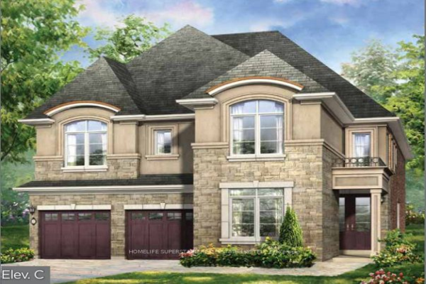Lot 46 Junior Rd, Brampton