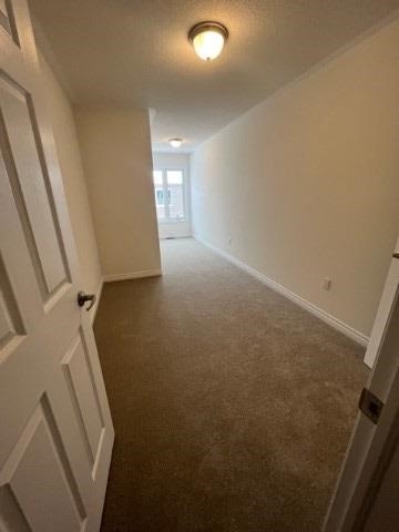 Listing W5960049 - Large Photo # 14