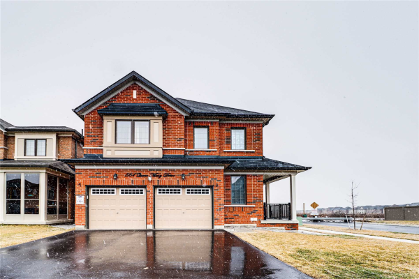 561 Queen Mary Dr, Brampton