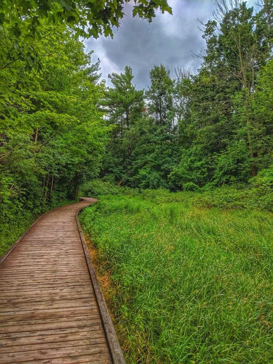 Listing W5965037 - Large Photo # 29
