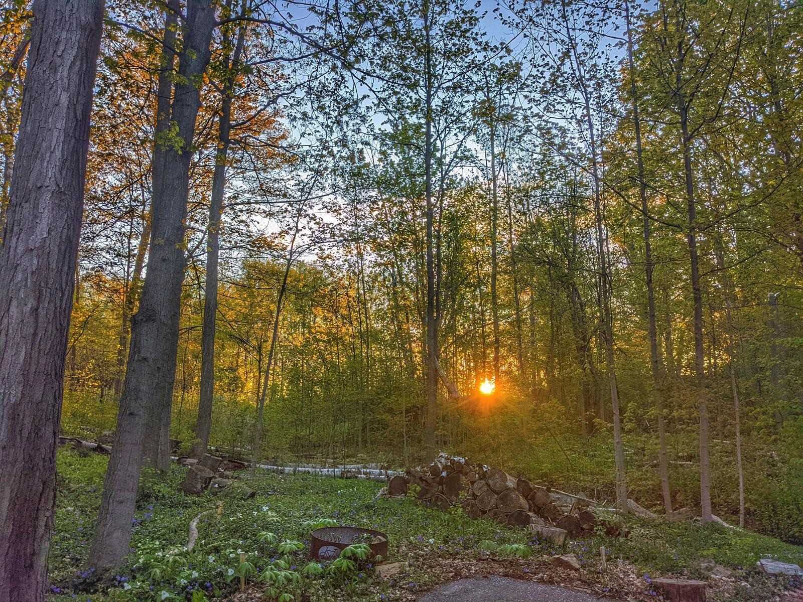 Listing W5965037 - Large Photo # 28