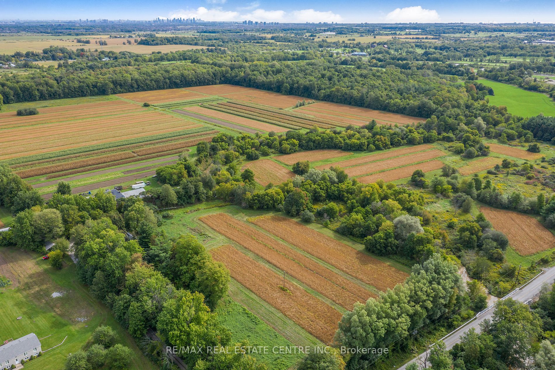 Listing W5965144 - Large Photo # 4