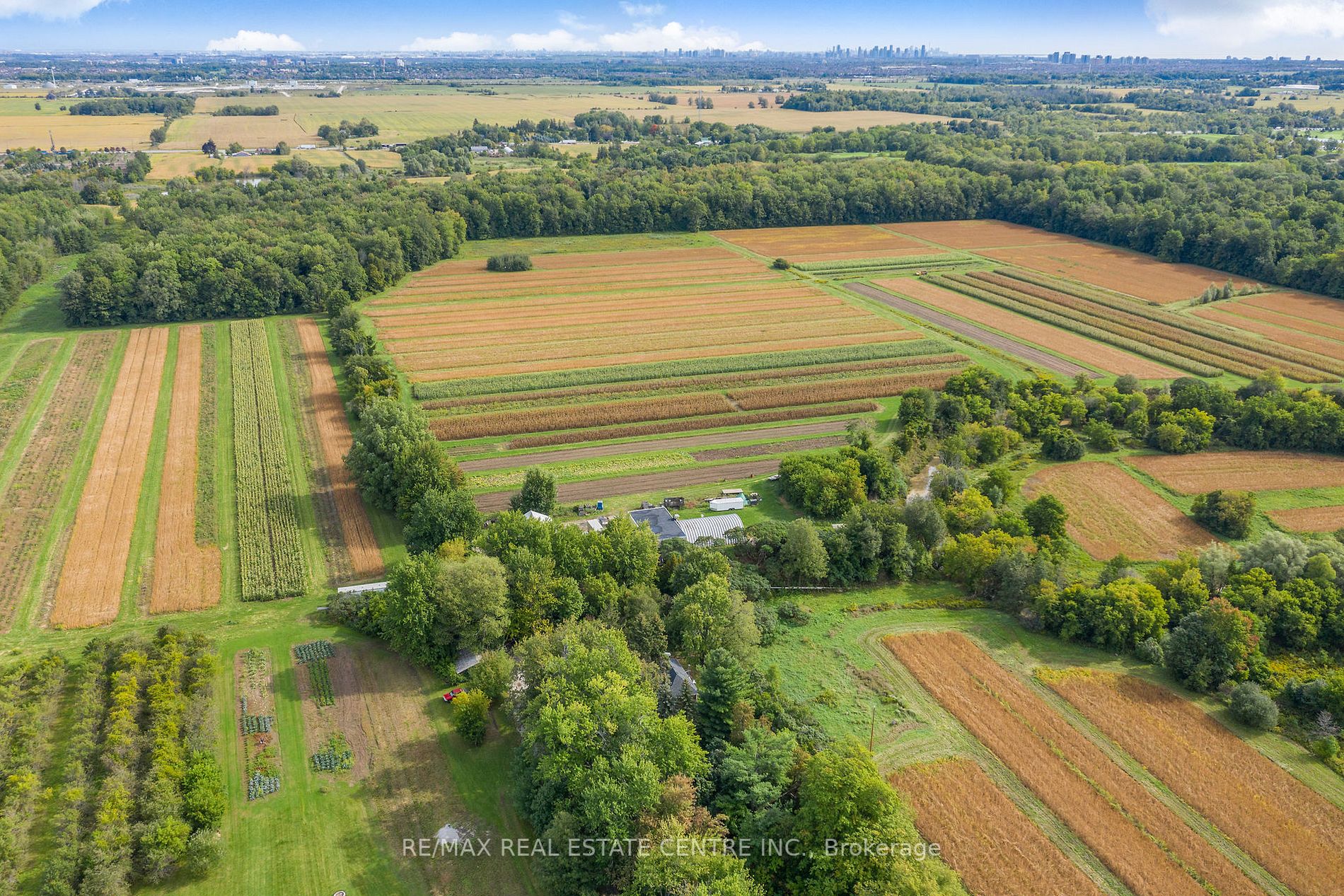 Listing W5965144 - Large Photo # 3