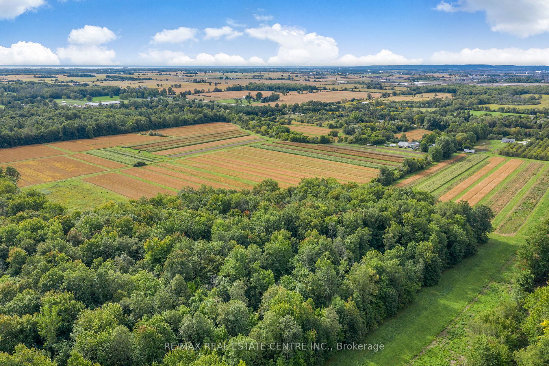 Listing W5965144 - Large Photo # 1