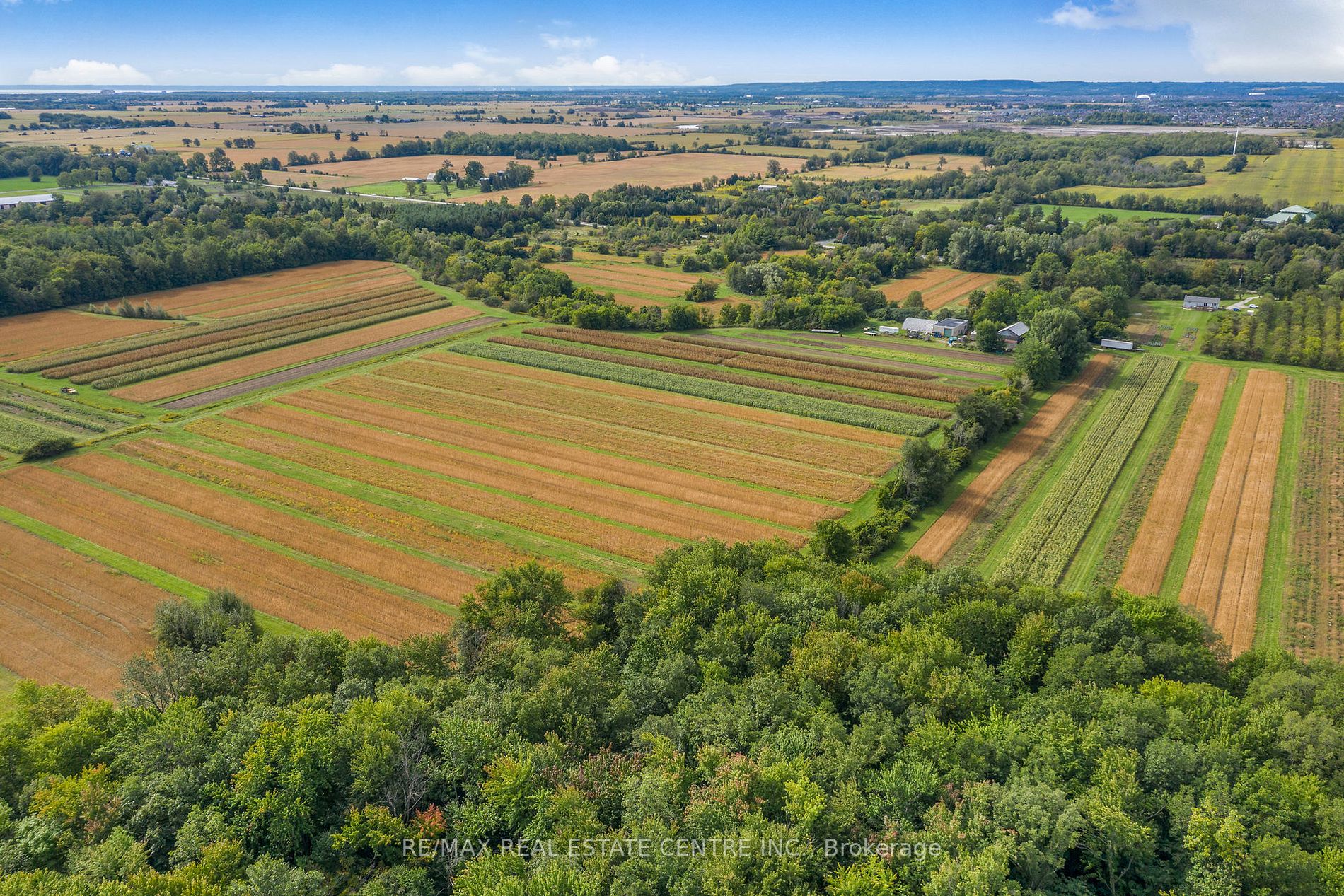 Listing W5965144 - Large Photo # 12