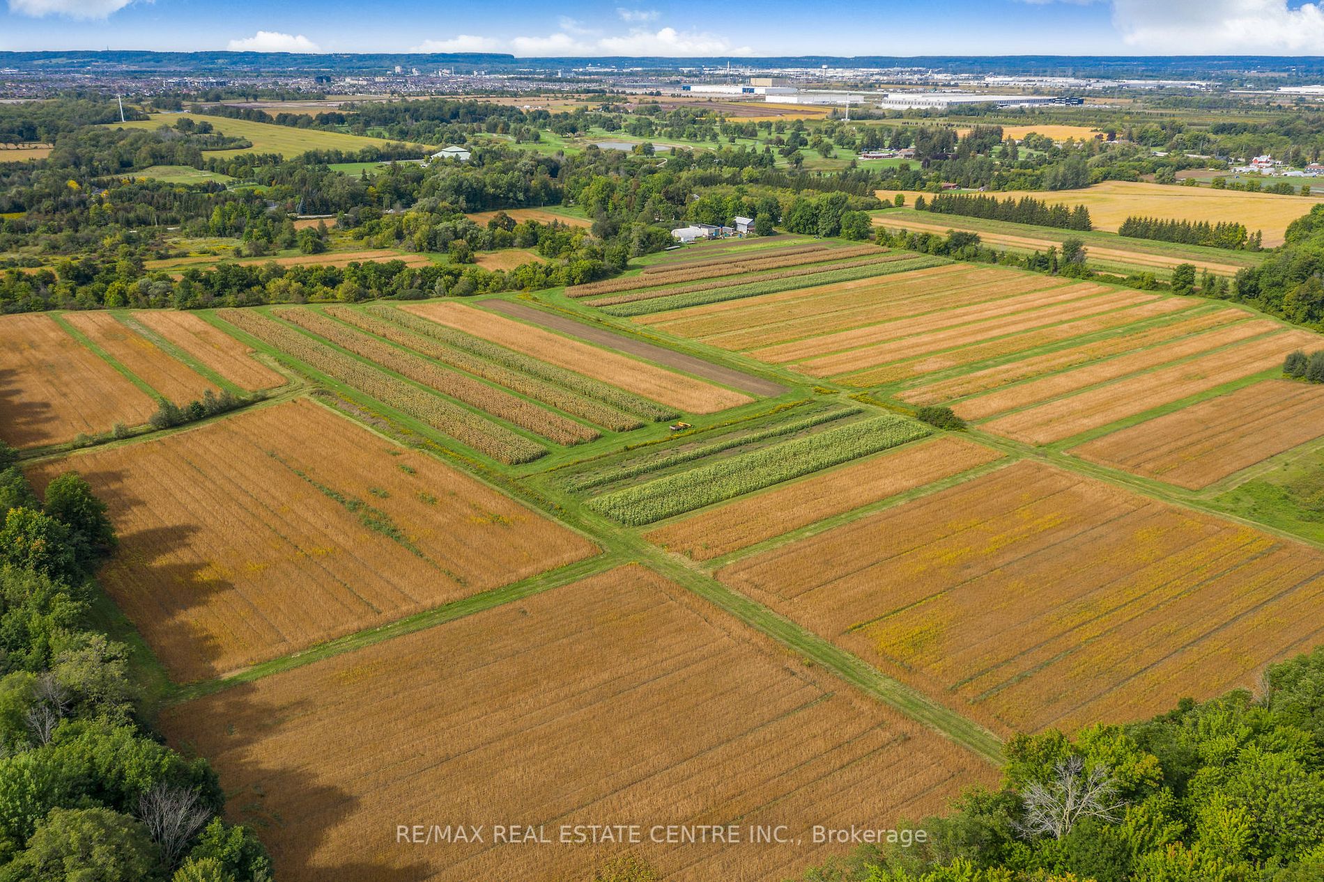 Listing W5965144 - Large Photo # 9