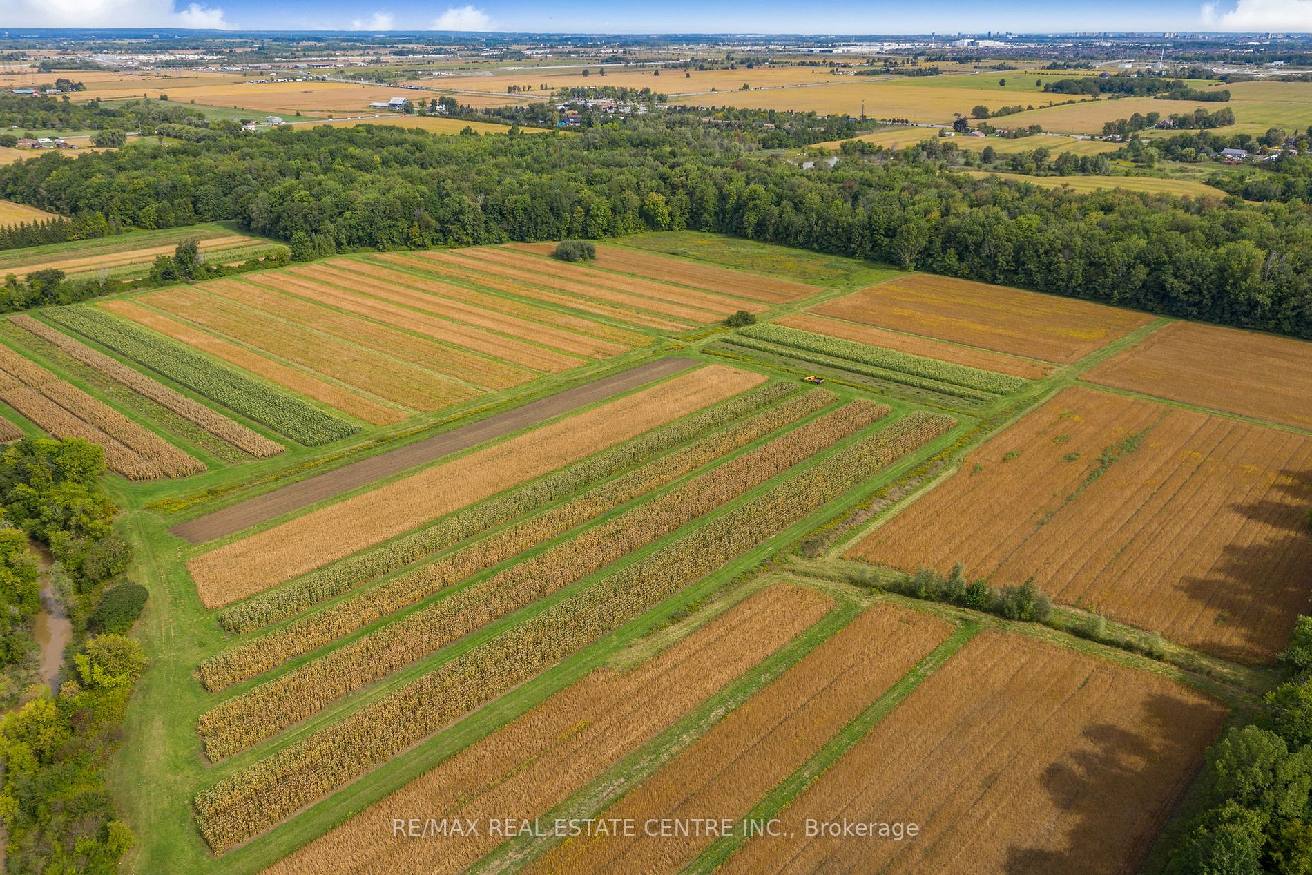 Listing W5965144 - Large Photo # 8