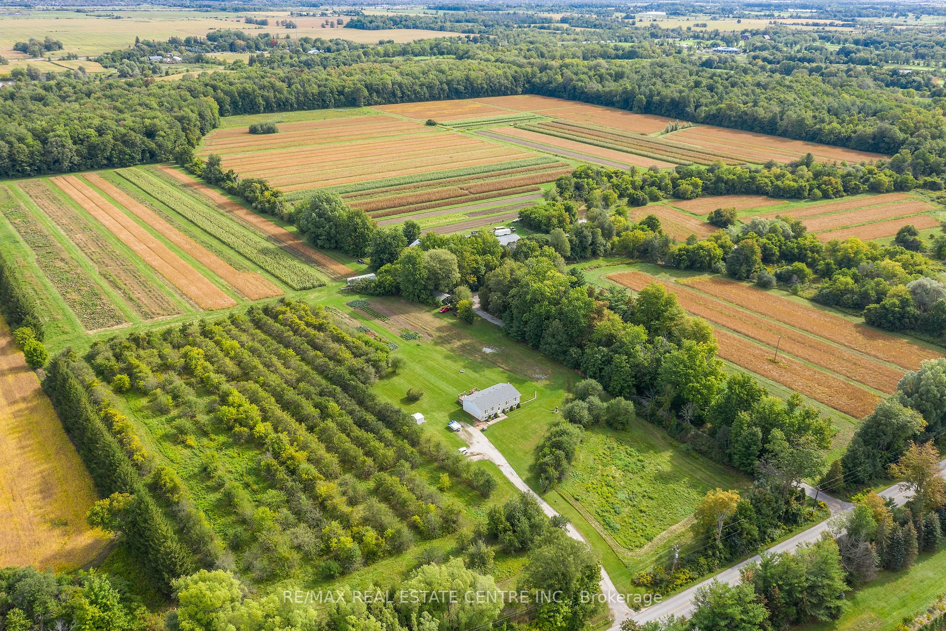 Listing W5965144 - Large Photo # 2