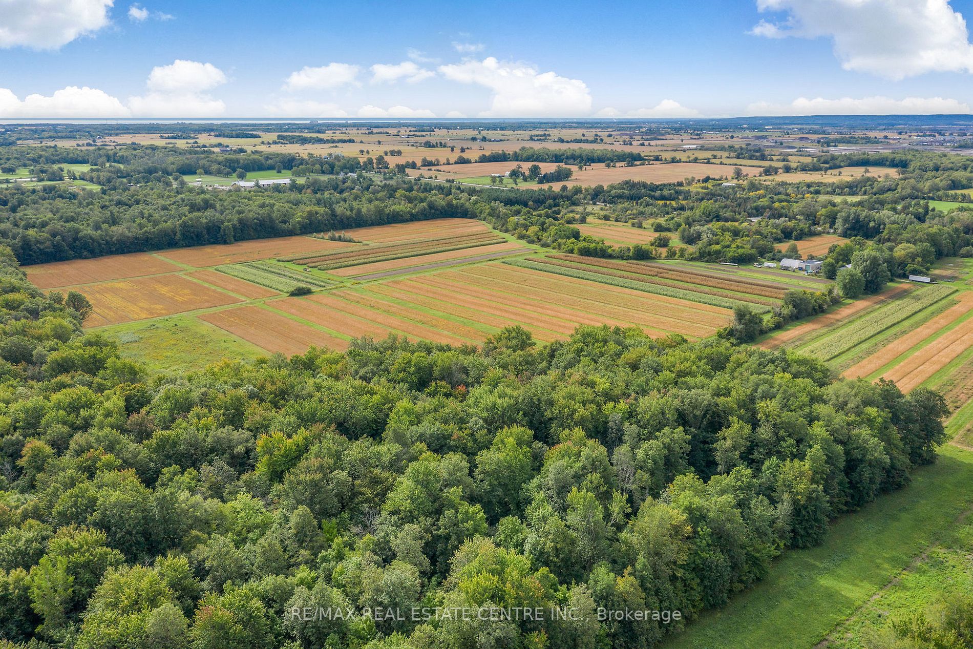 Listing W5965144 - Large Photo # 11