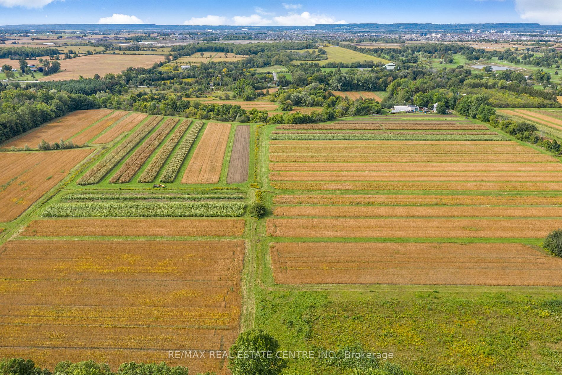Listing W5965144 - Large Photo # 10