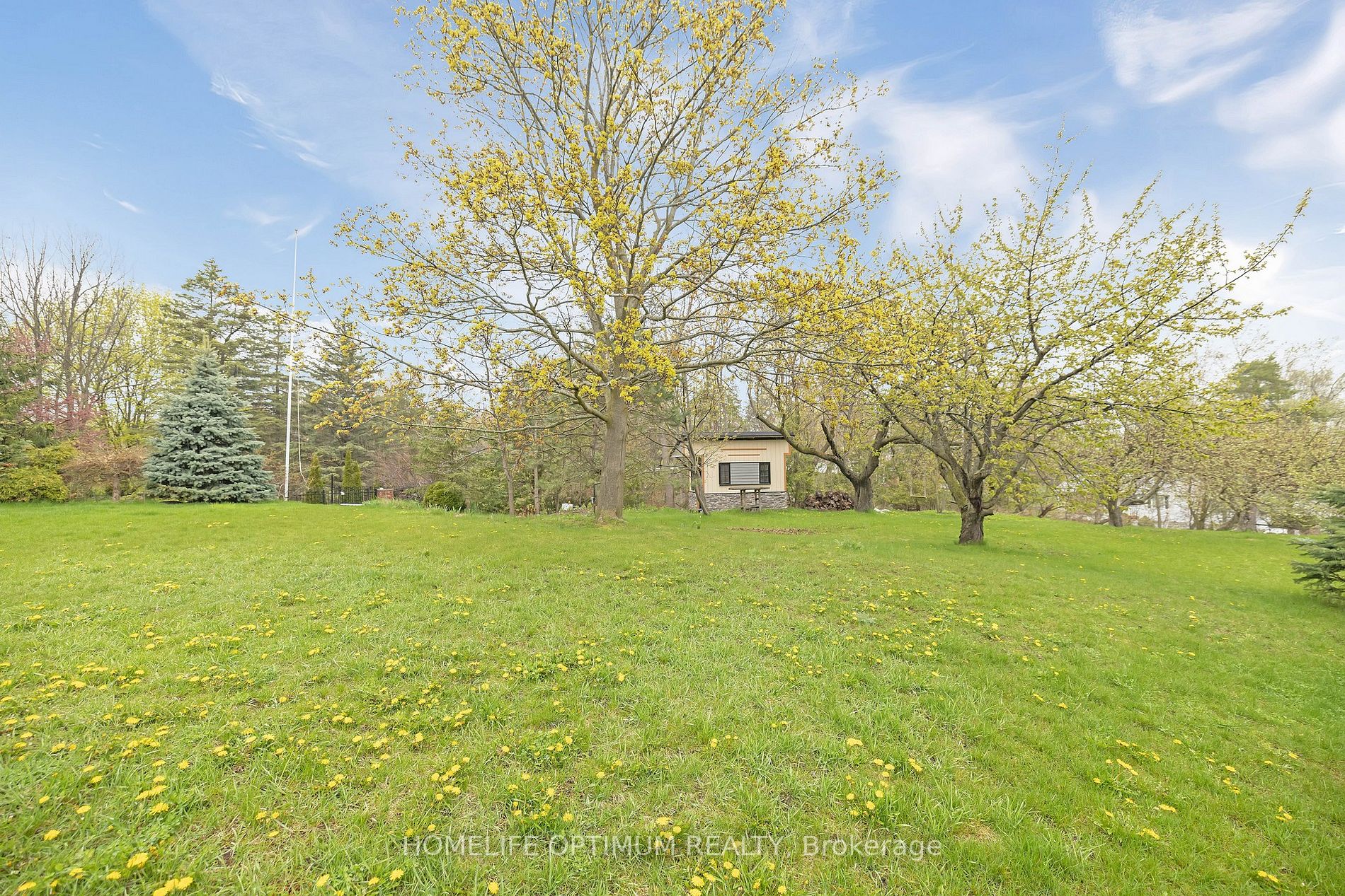 Listing W5967084 - Large Photo # 34