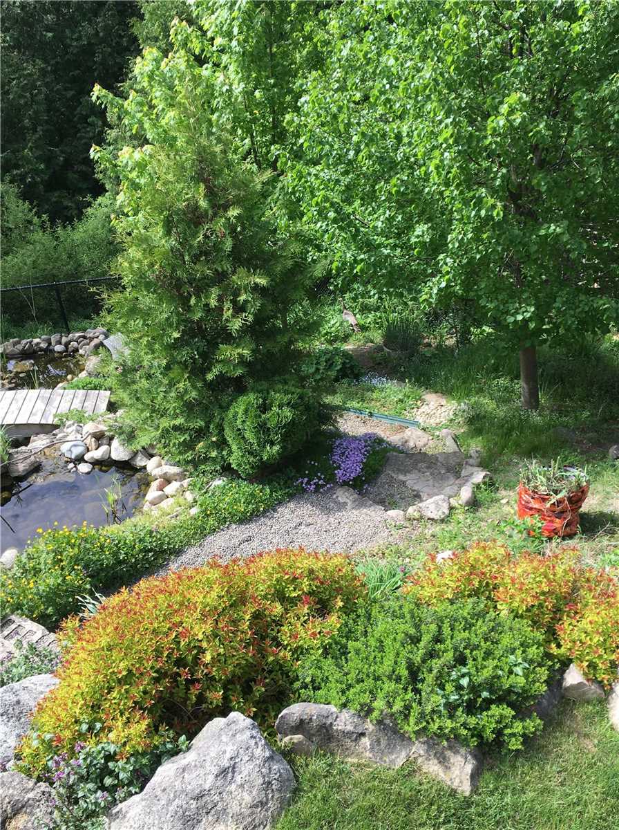 Listing W5971827 - Large Photo # 29
