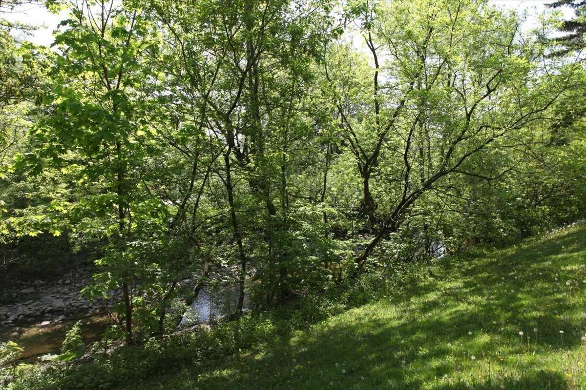 Listing W5972819 - Large Photo # 23