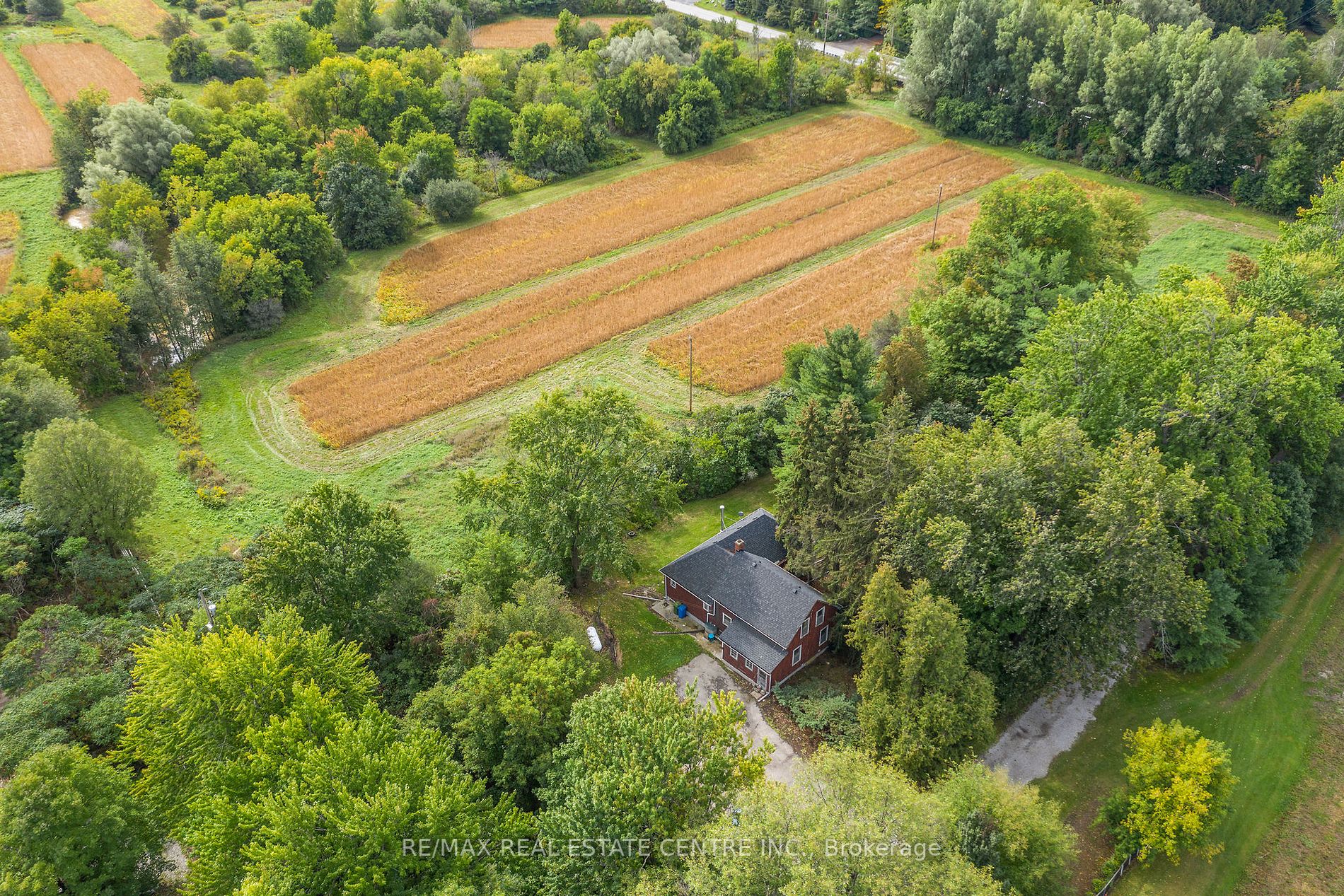 Listing W5975696 - Large Photo # 11