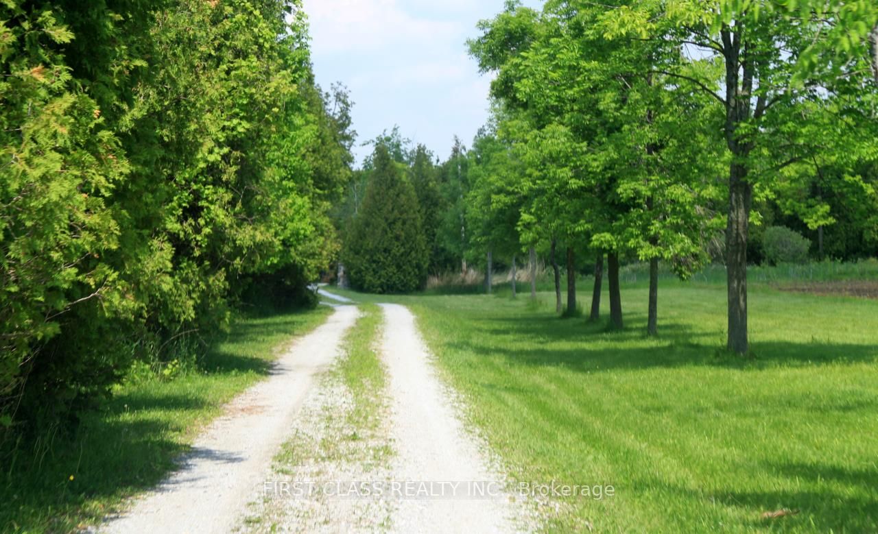 Listing W5979160 - Large Photo # 12