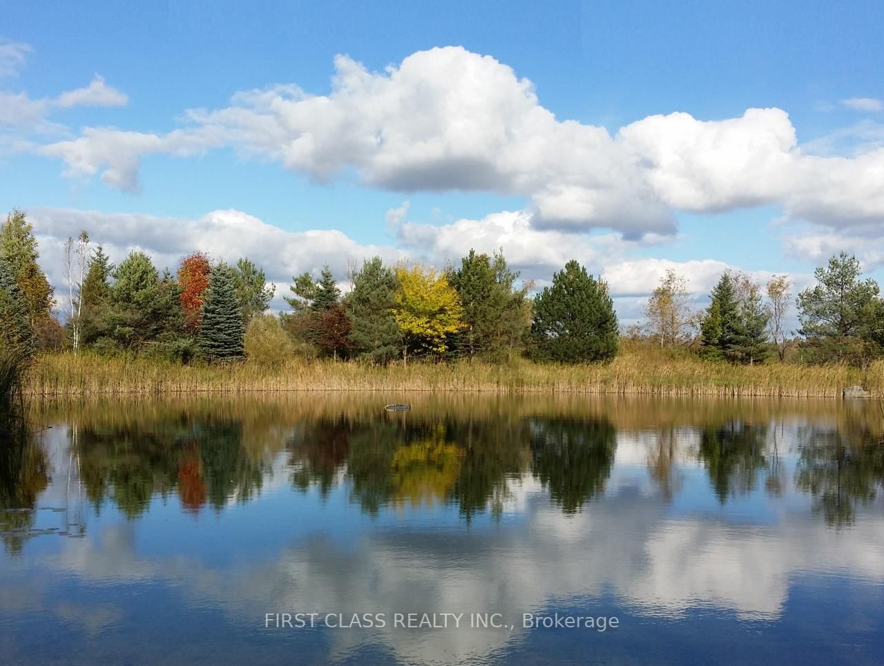 Listing W5979160 - Large Photo # 4