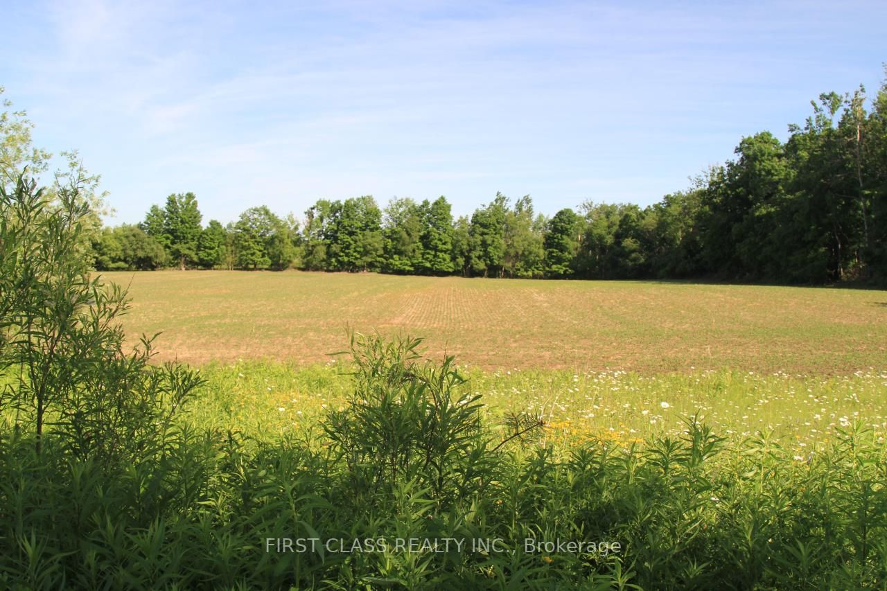 Listing W5979160 - Large Photo # 2