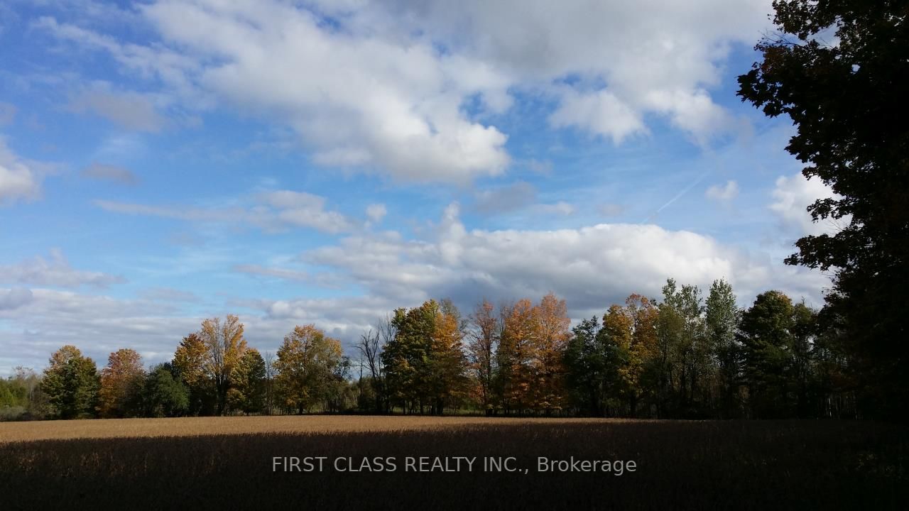 Listing W5979160 - Large Photo # 10