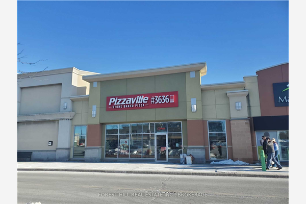 81 Gerry Fitzgerald Dr, Toronto