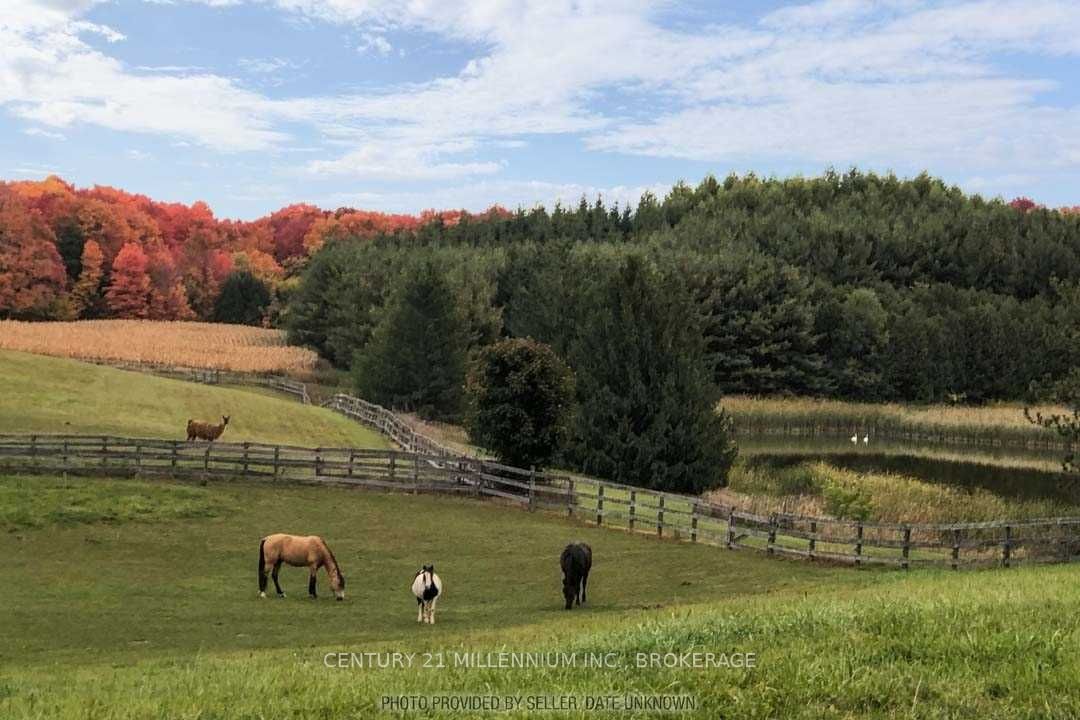 Listing W5983681 - Large Photo # 5