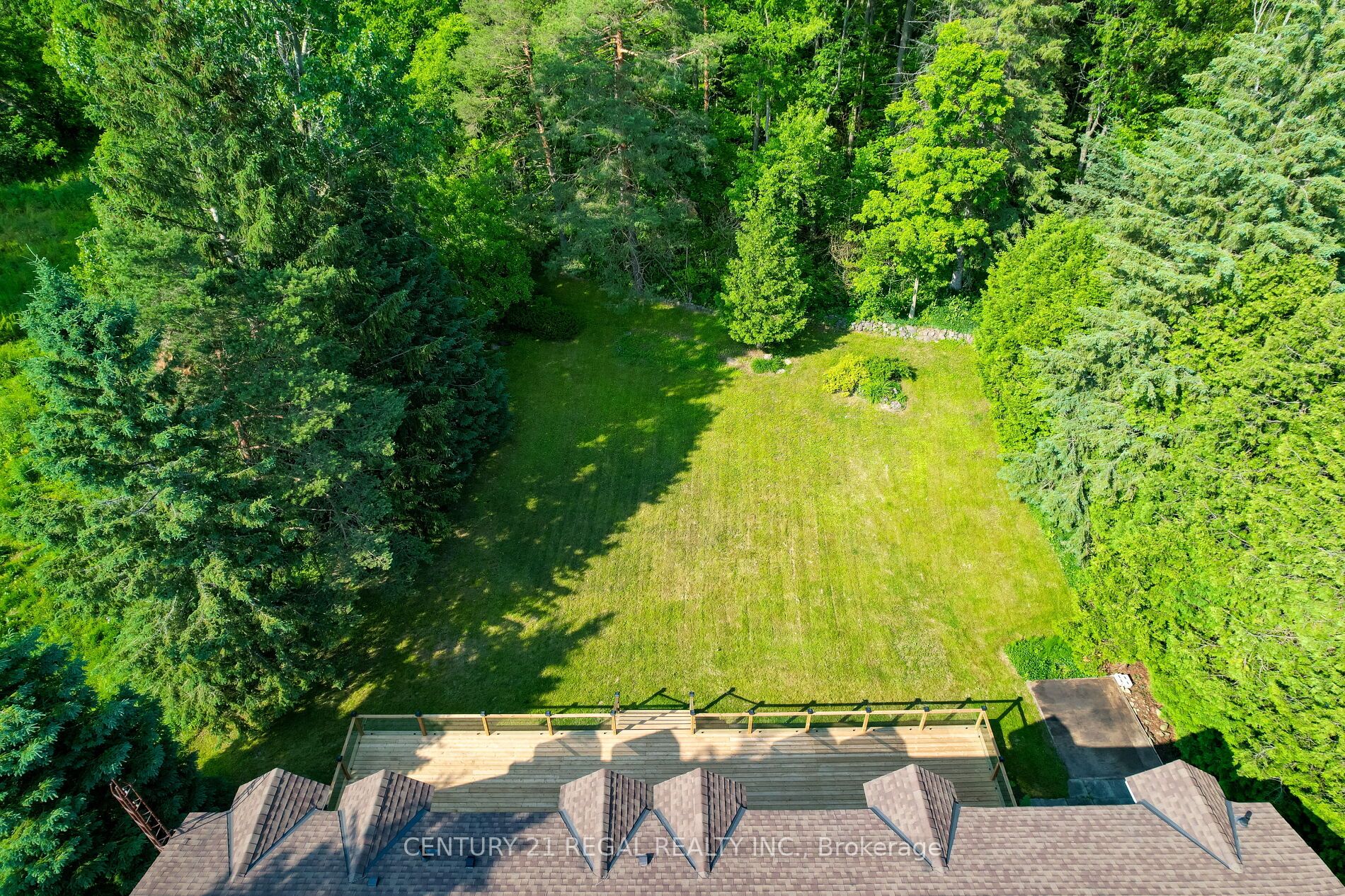 5535 Cedar Springs Rd