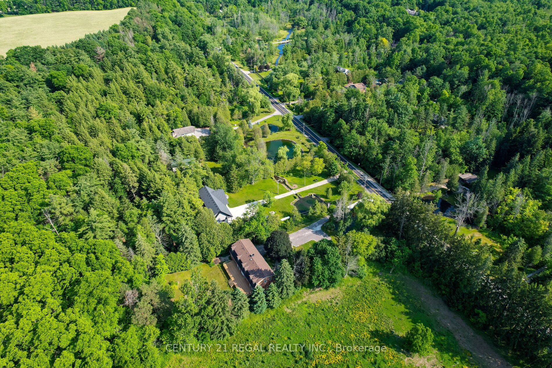 5535 Cedar Springs Rd