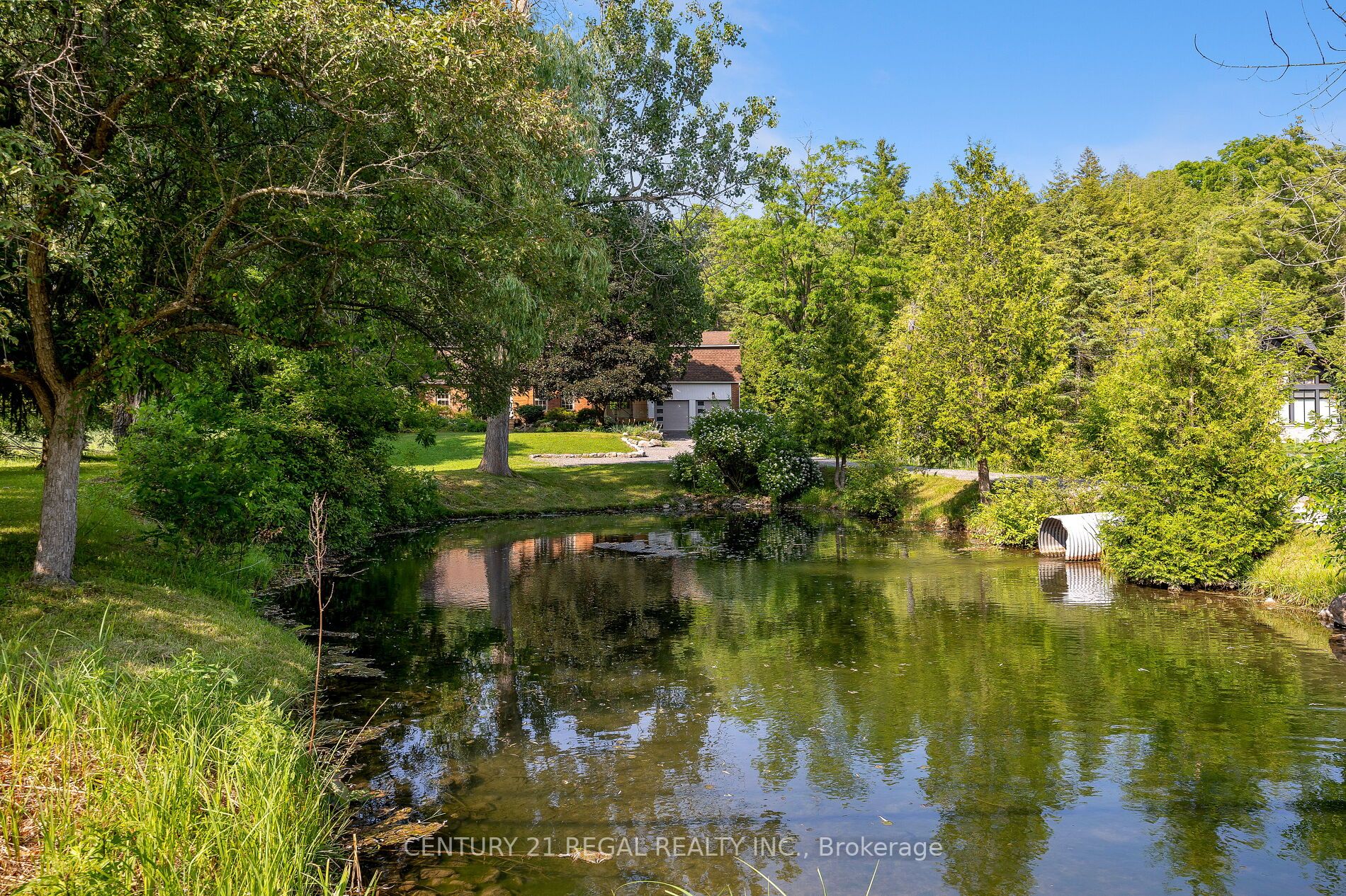 5535 Cedar Springs Rd
