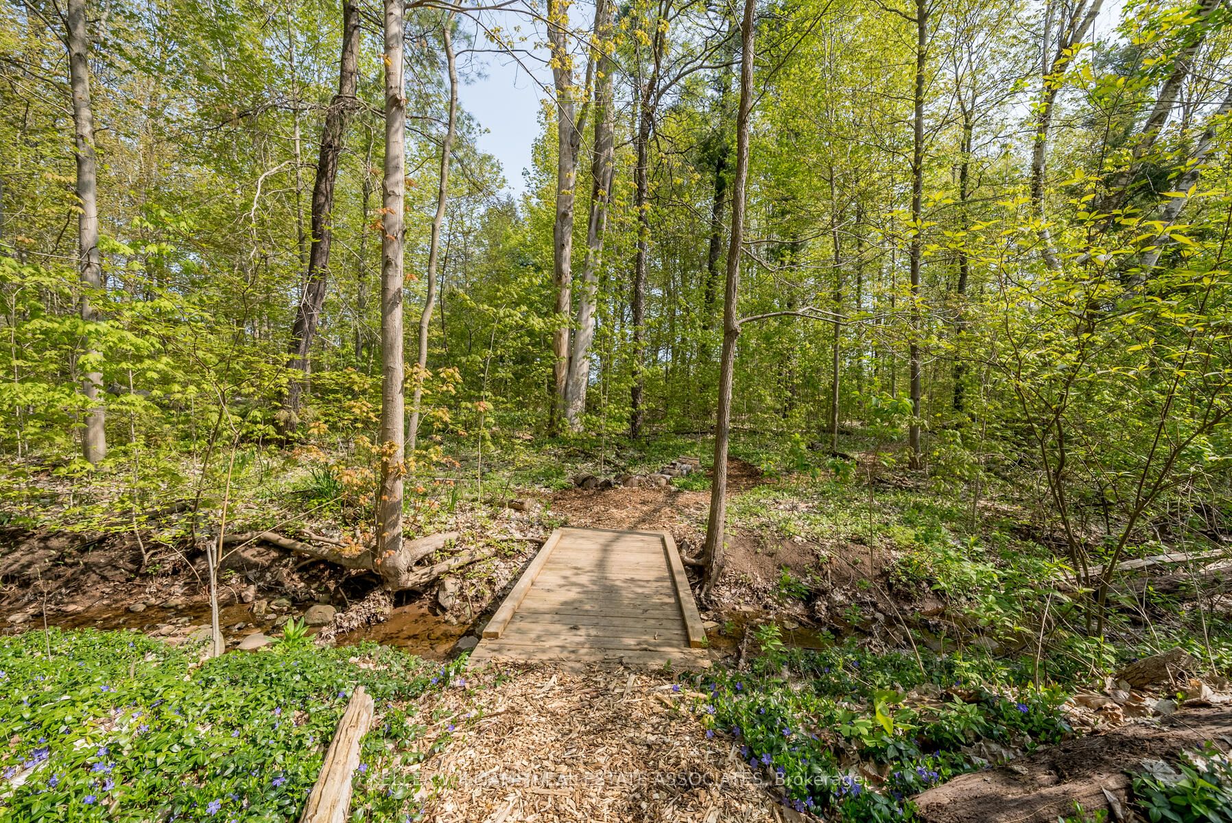 Listing W5985508 - Large Photo # 25