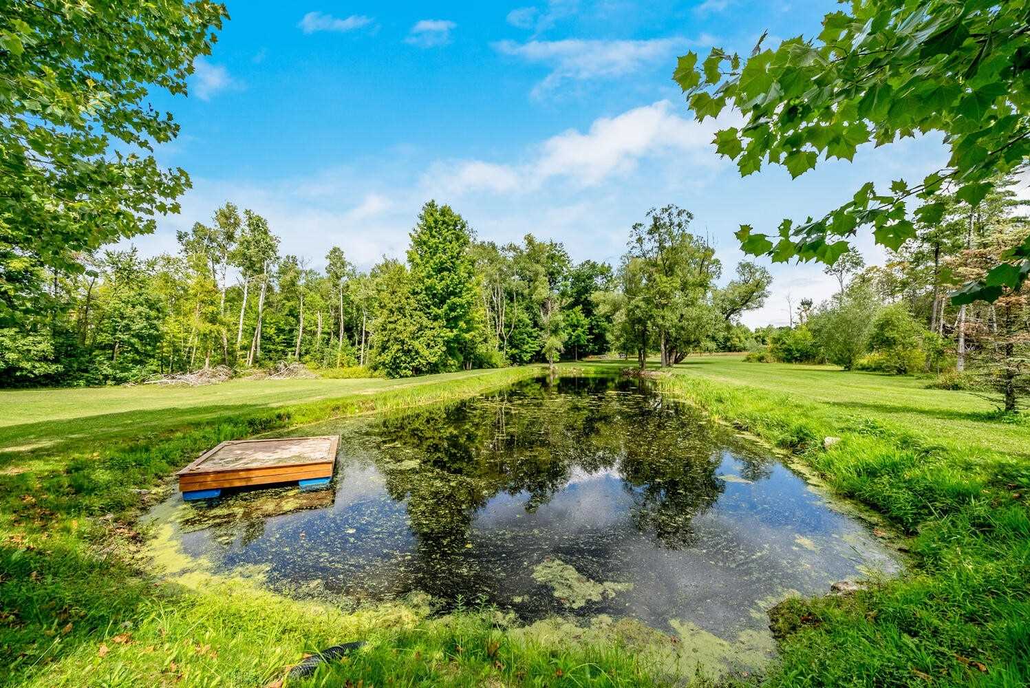 Listing W5986491 - Large Photo # 33