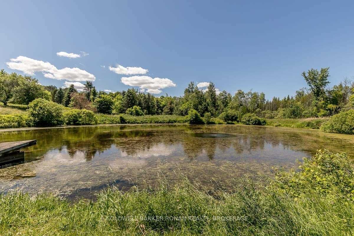 Listing W5988101 - Large Photo # 29