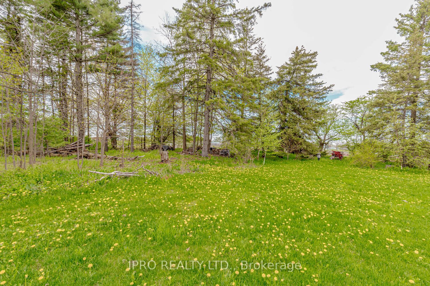 Listing W5988848 - Large Photo # 38