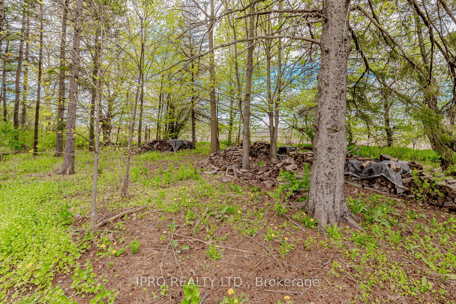 Listing W5988848 - Large Photo # 39