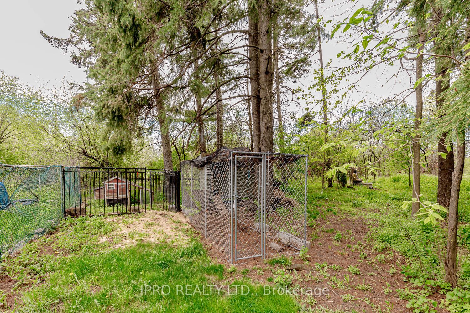 Listing W5988848 - Large Photo # 40