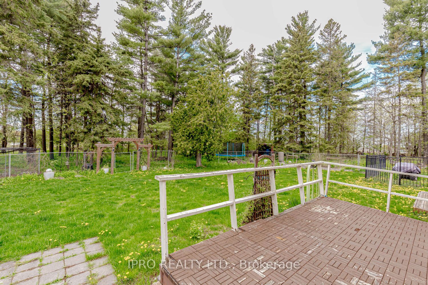 Listing W5988848 - Large Photo # 26