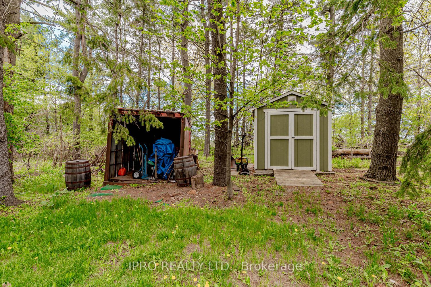 Listing W5988848 - Large Photo # 37