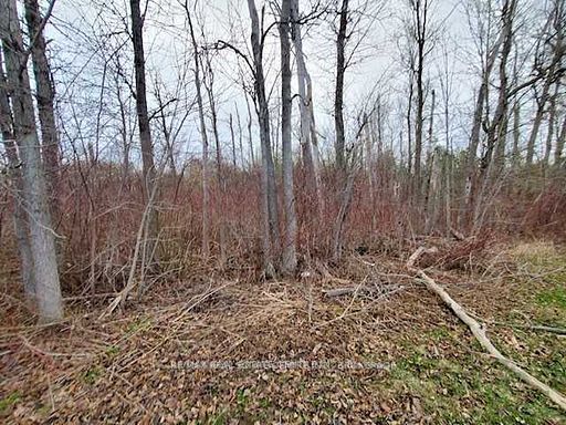 Listing W5992504 - Large Photo # 39