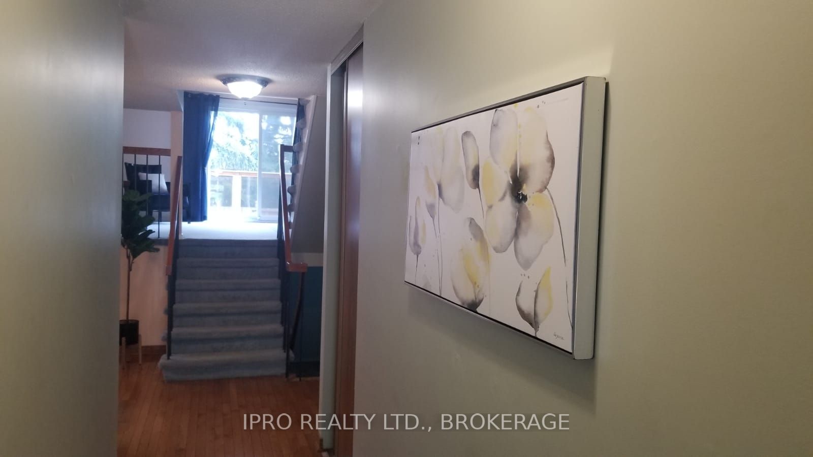 Listing W5992749 - Large Photo # 4