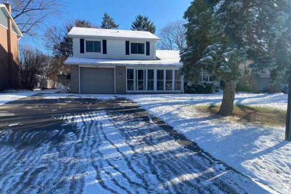 36 Rayne Ave