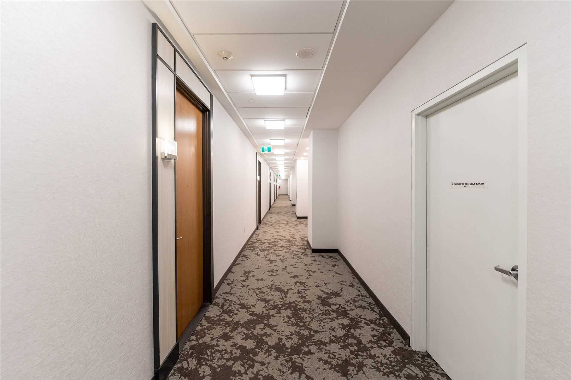 Listing W5994145 - Large Photo # 5
