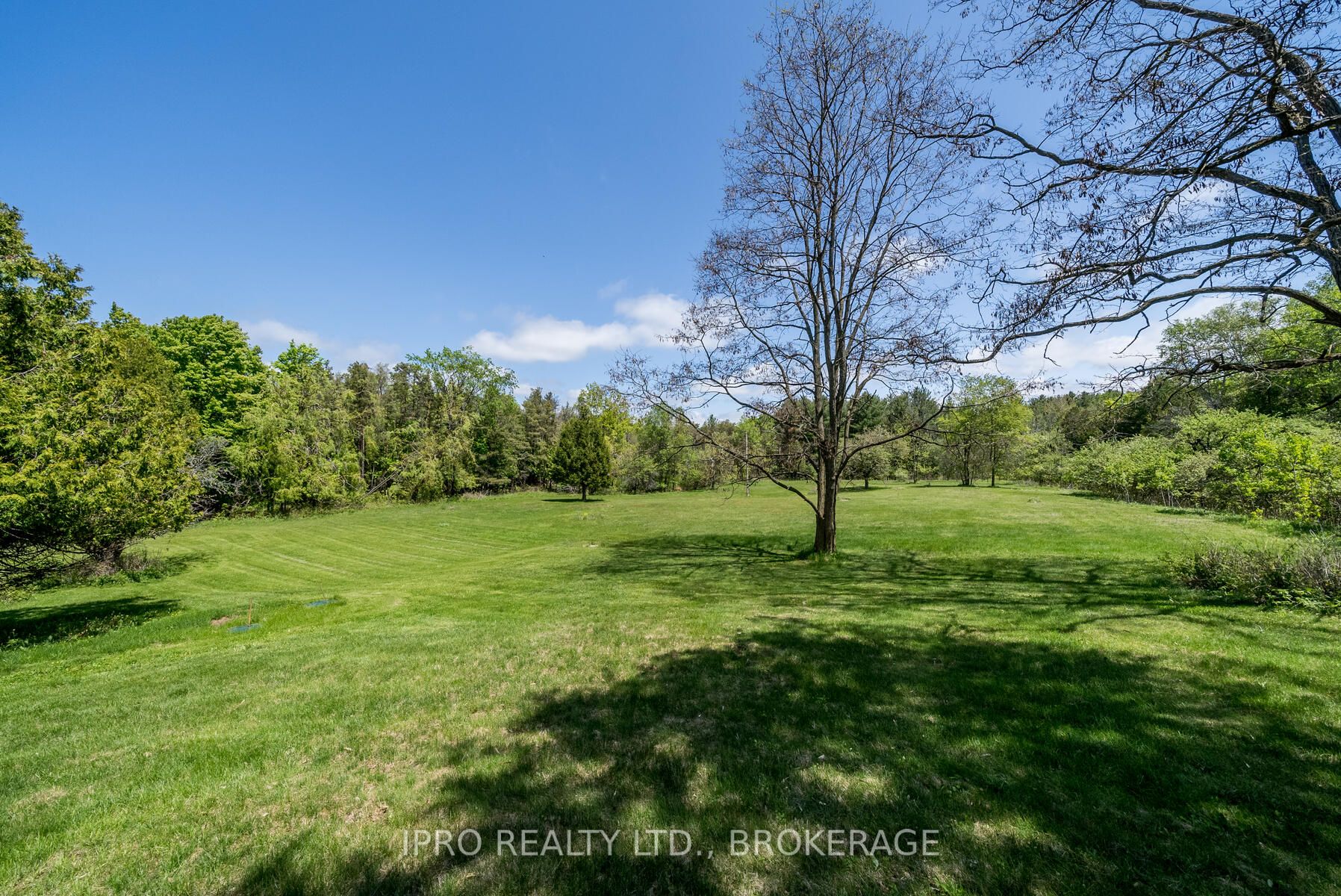 Listing W5996081 - Large Photo # 26