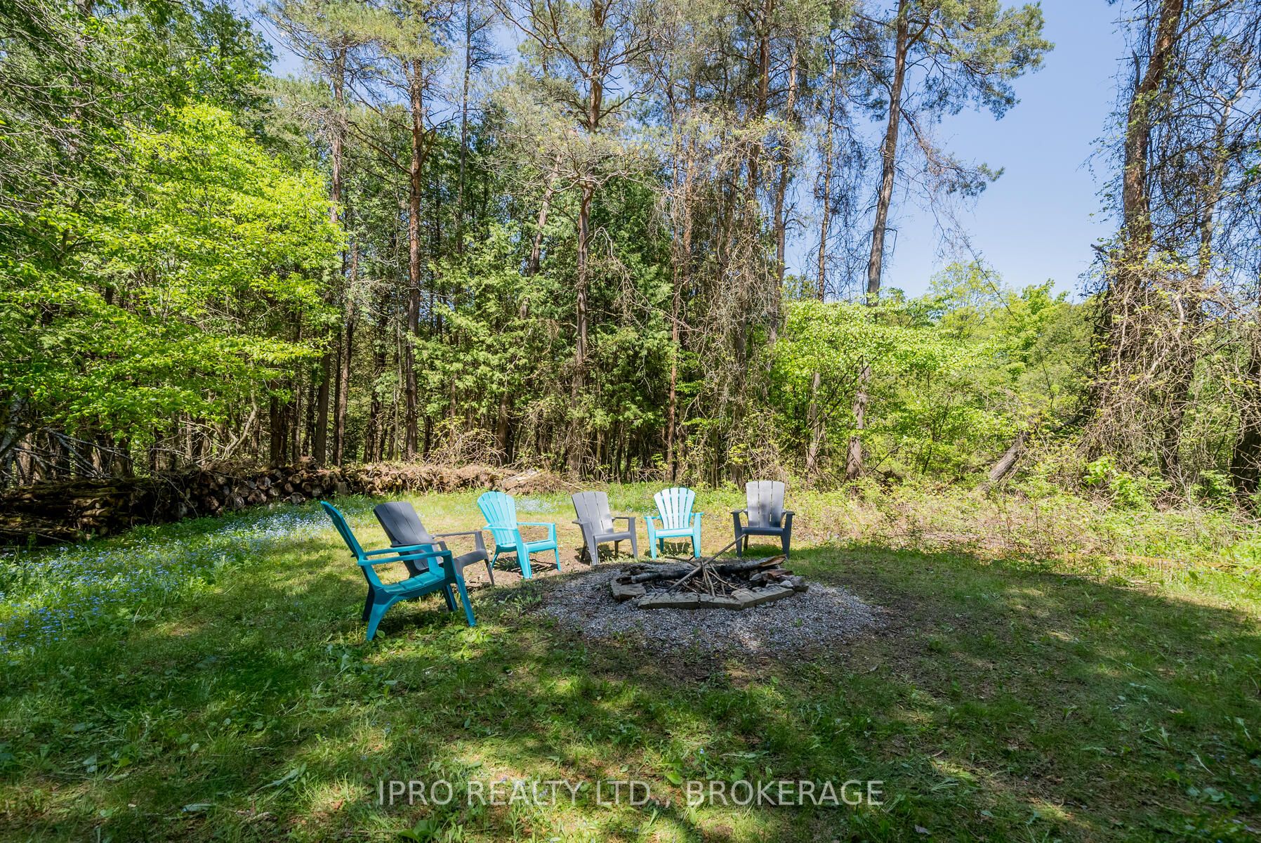 Listing W5996081 - Large Photo # 38