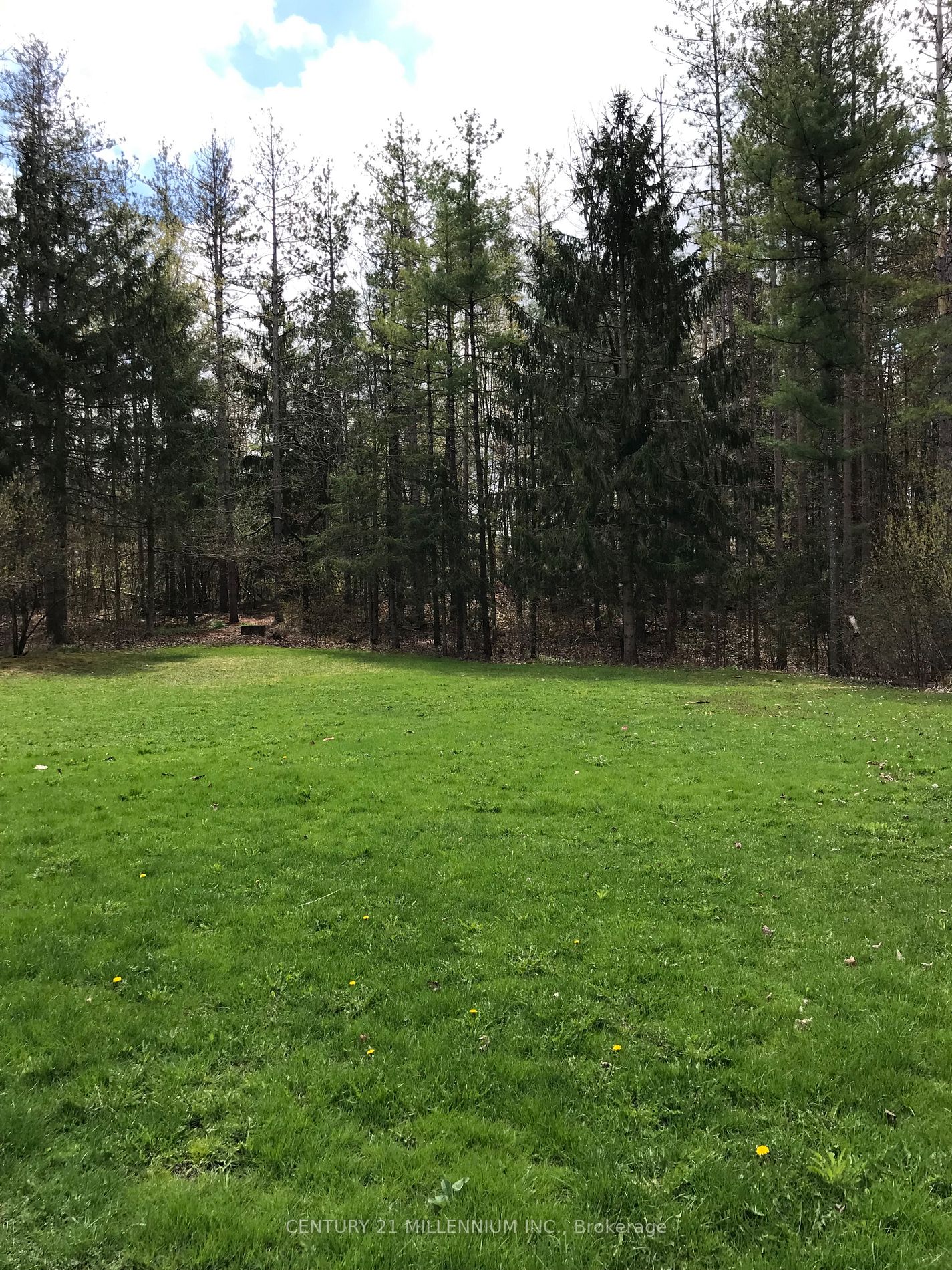 Listing W5997360 - Large Photo # 14