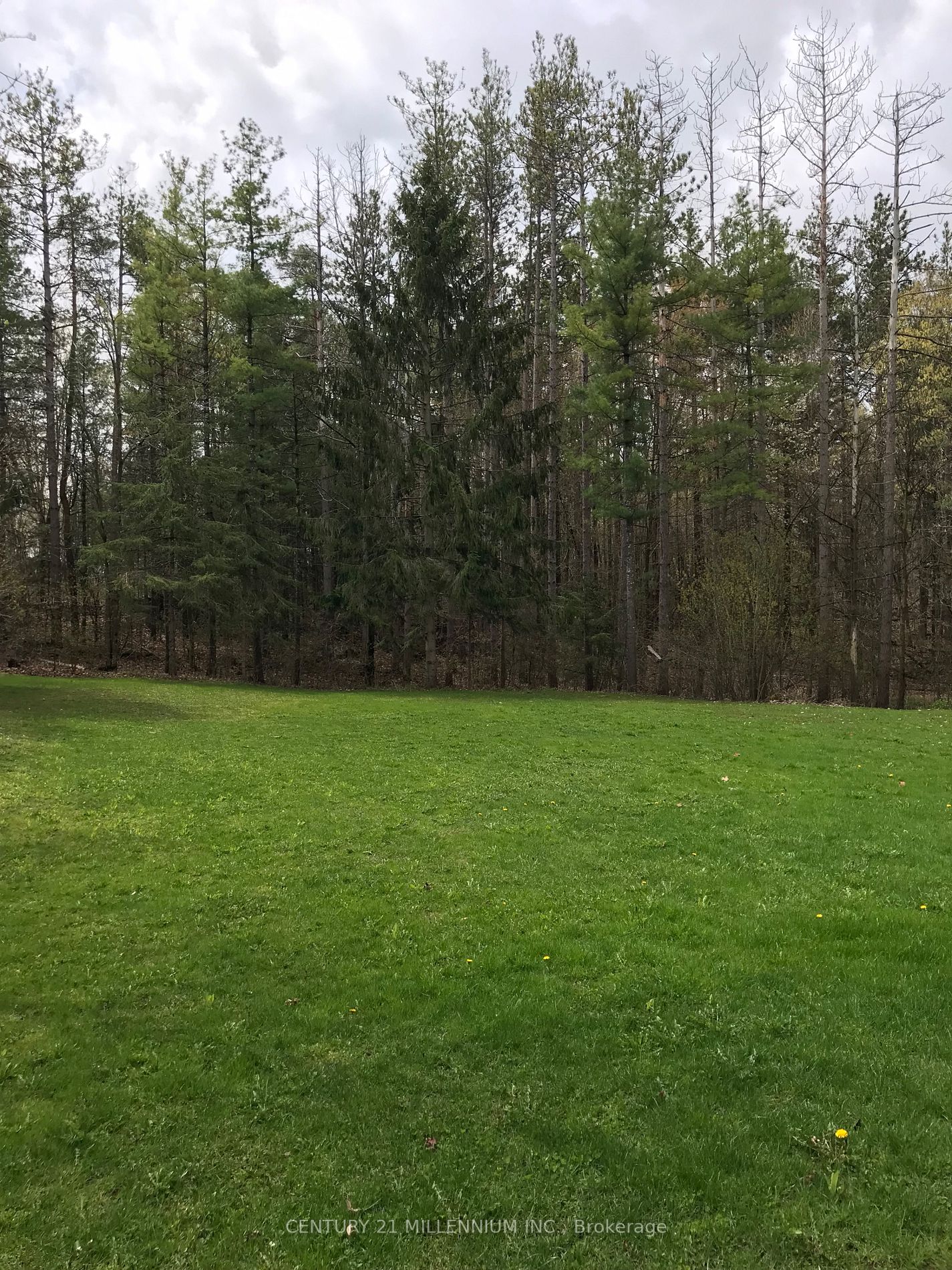 Listing W5997360 - Large Photo # 5
